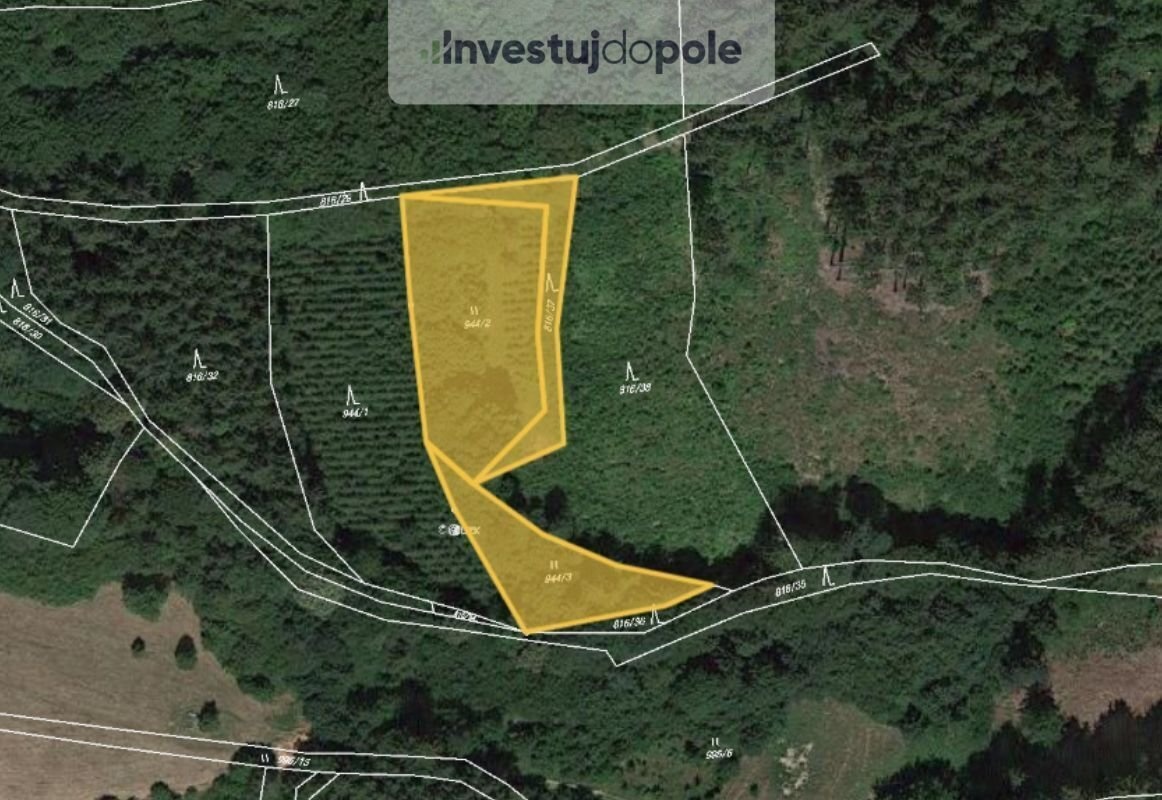 Prodej louky 2 849 m², Vsetín - Rokytnice