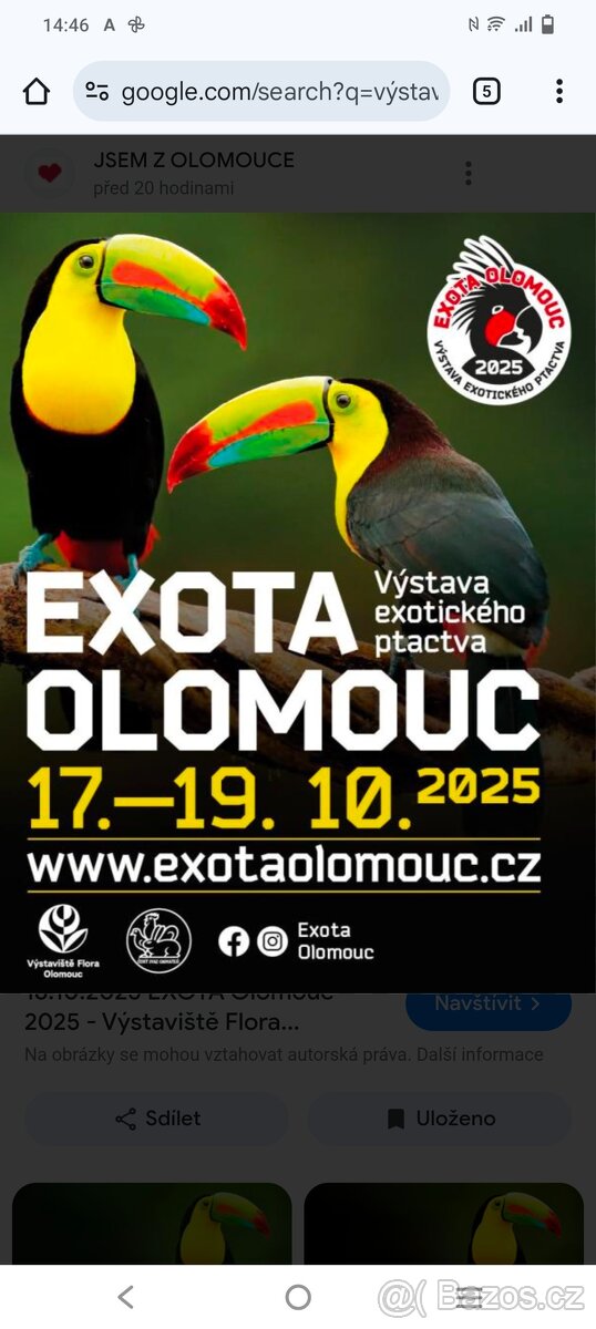 Exotické ptactvo Olomouc
