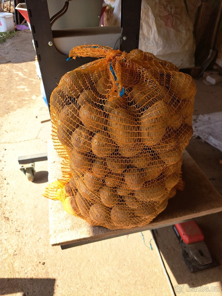 Brambory z Vysočiny