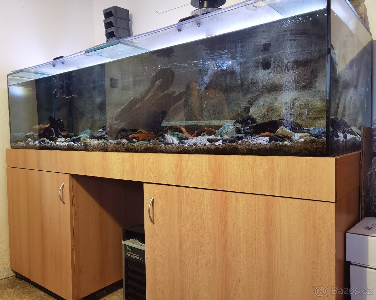Prodám velké akvárium 700 litrů