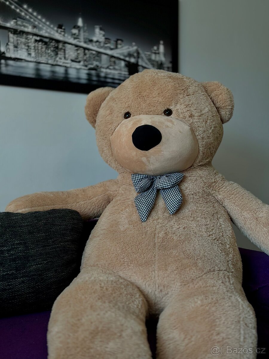 OBŘÍ PLYŠOVÝ MEDVĚD 200 CM - HLEDÁ NOVÝ DOMOV 🧸
