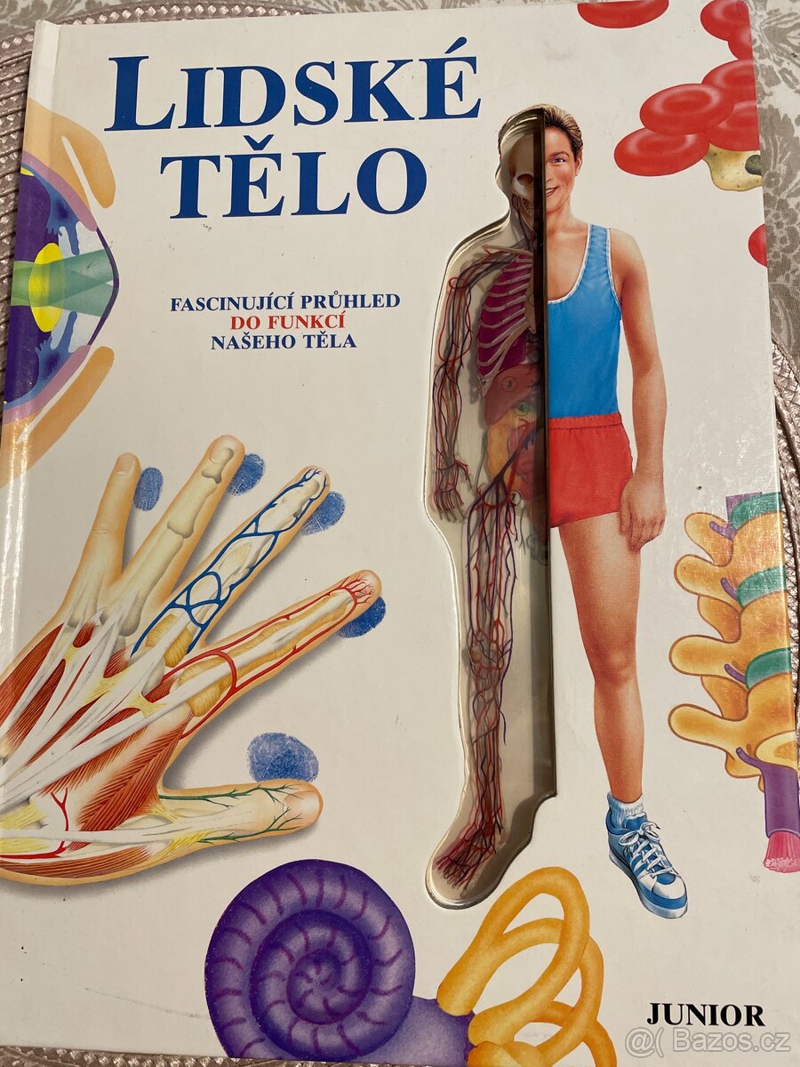 Lidské tělo