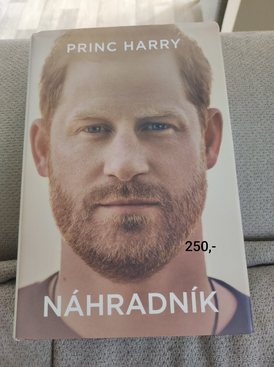 Náhradník kniha