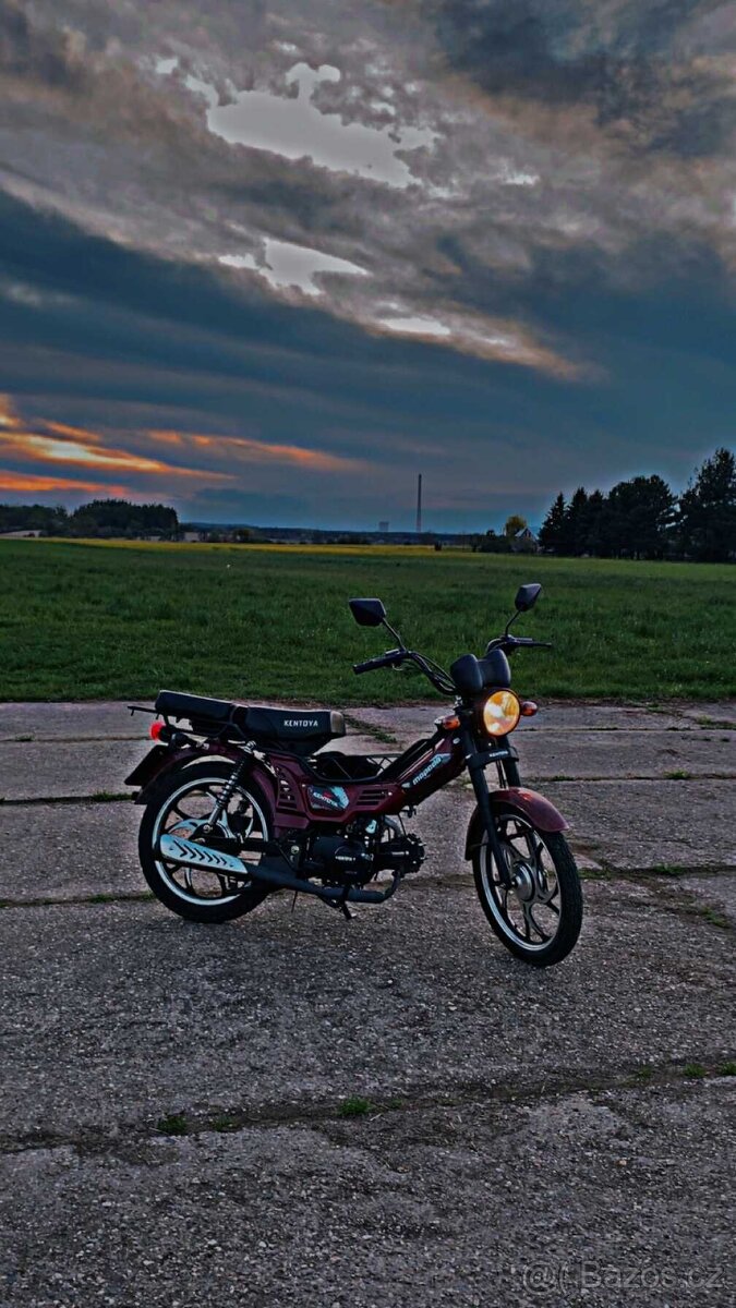 Kentoya Mopedo 50 Euro 5 (2024)