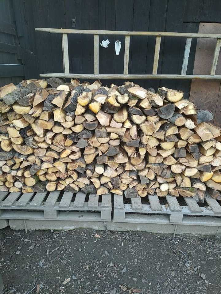 Palivové dřevo - jabloň