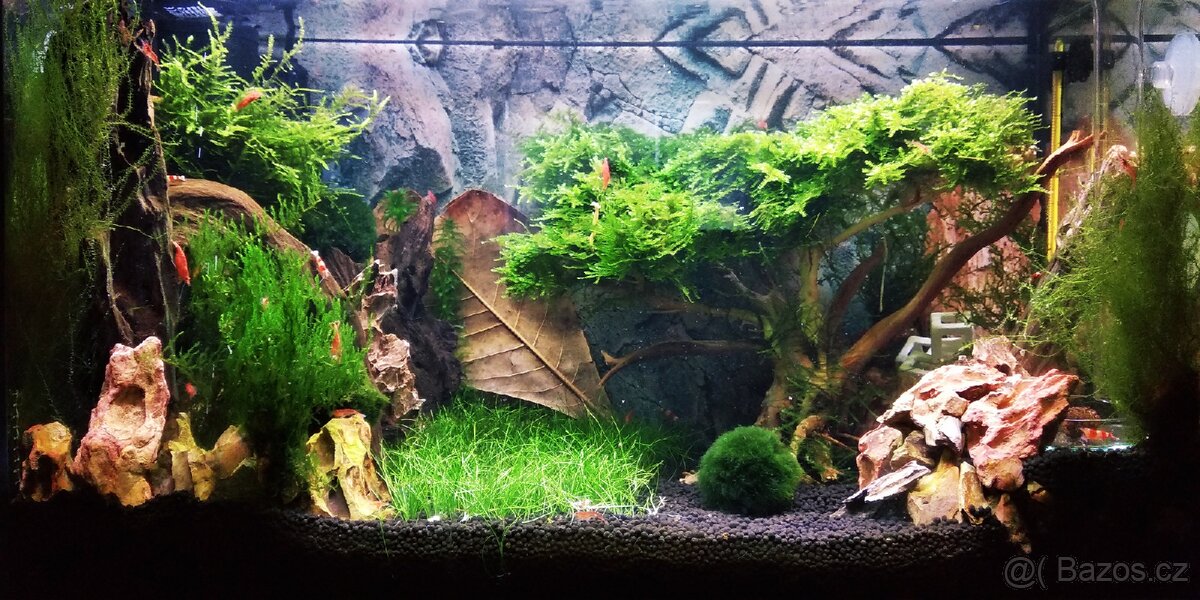 Kompletni set pro chov krevetek