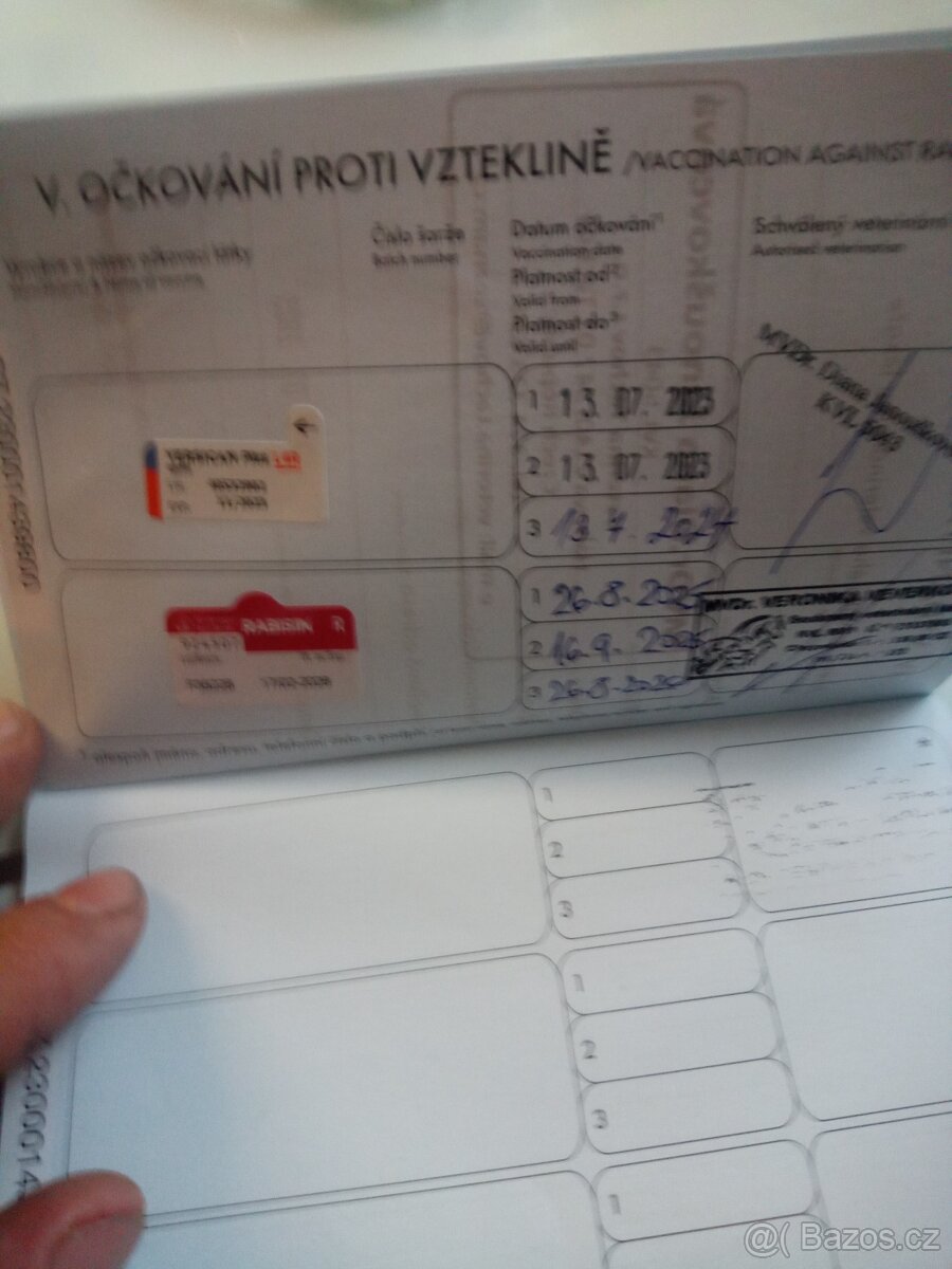Darují německého ovčáka