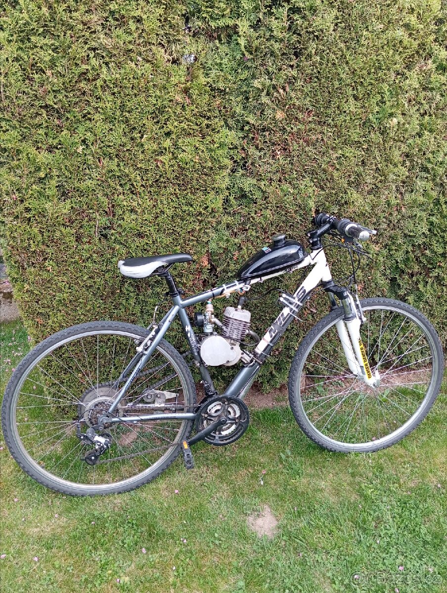 Motokolo 50ccm