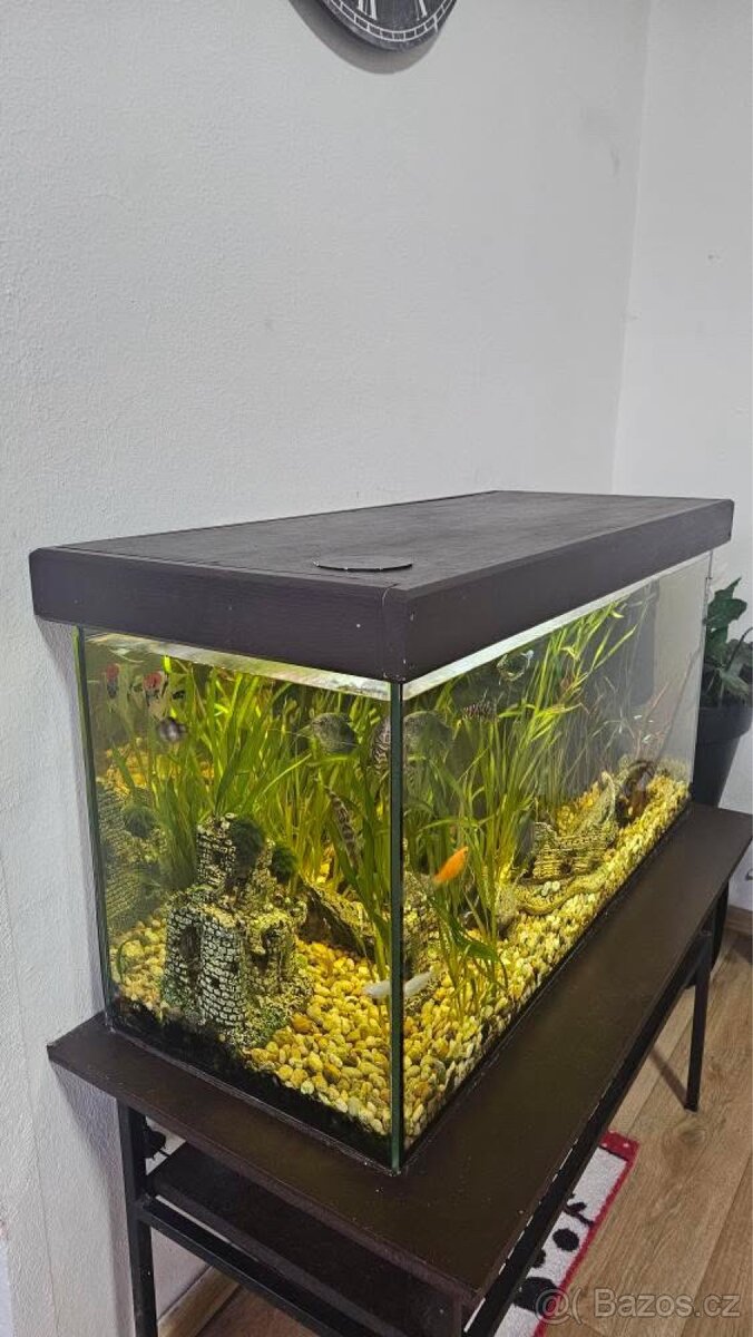 Akvárium komplet