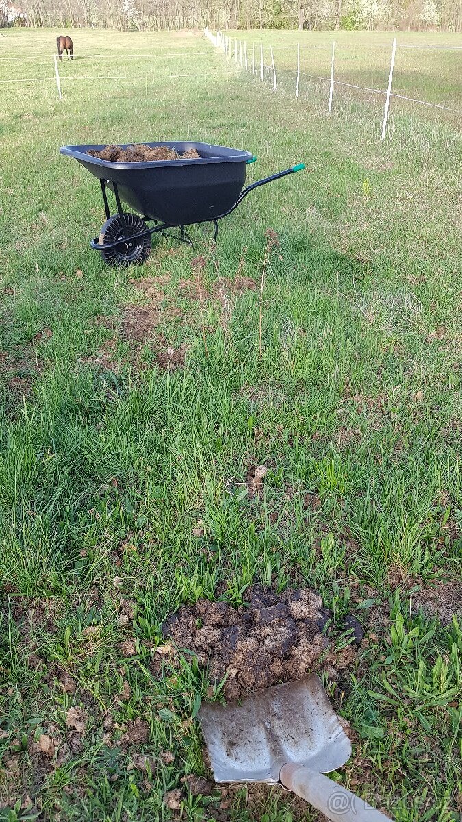 Koňský hnůj zdarma