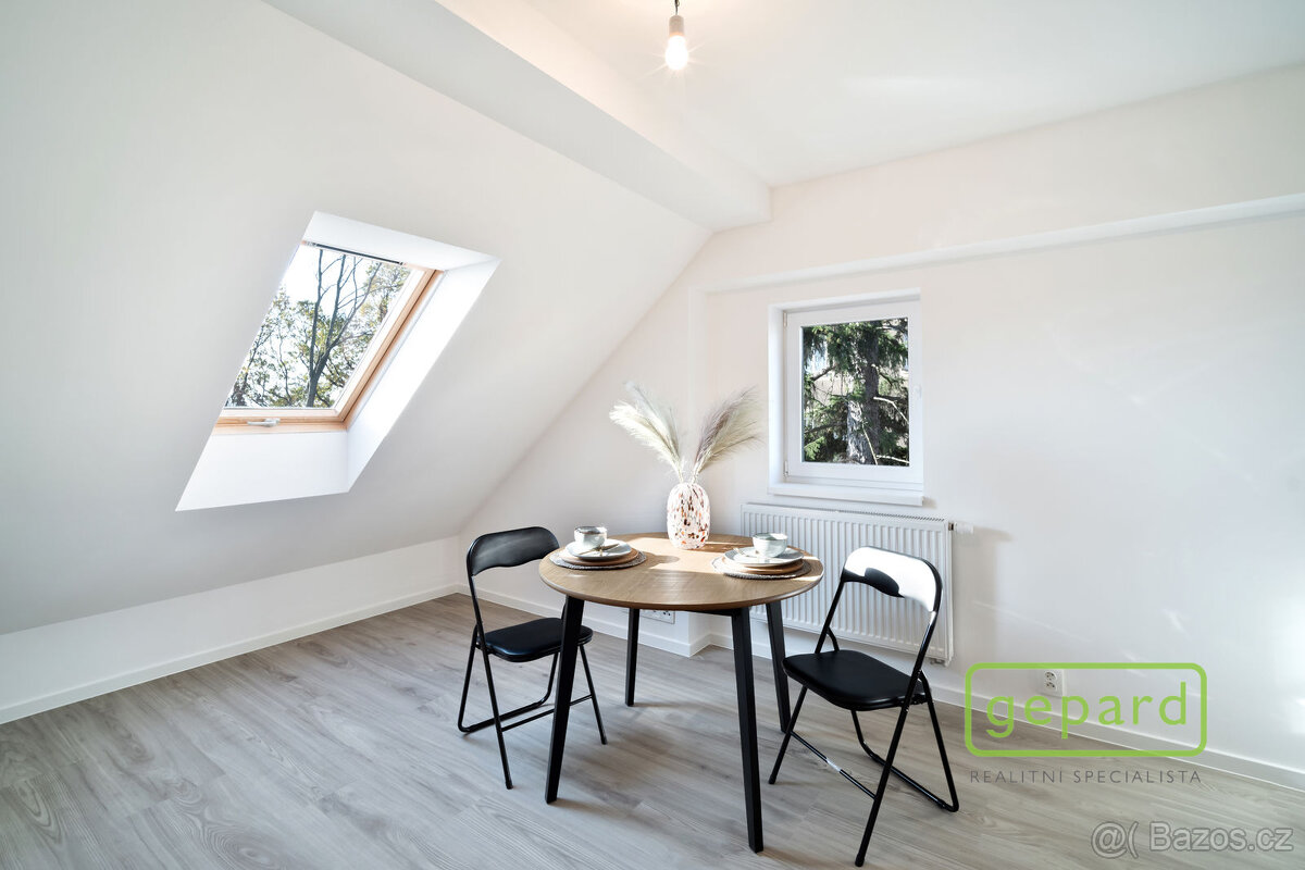 Pronájem bytu 1kk, 27 m2