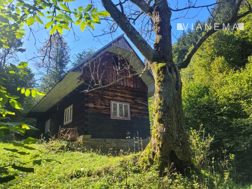 IBA U NÁS Pôvodná drevenica na polosamote - Horná Mariková