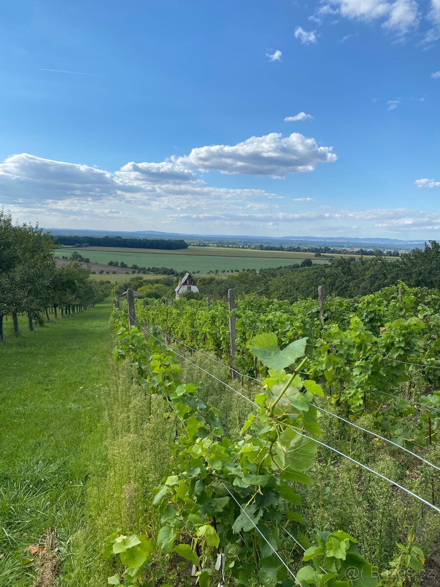 Pozemek s krásným výhledem a chatou