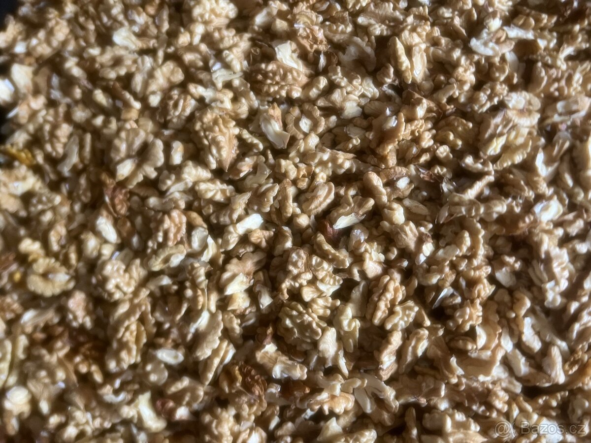 Letošní loupané vlašské ořechy 2025