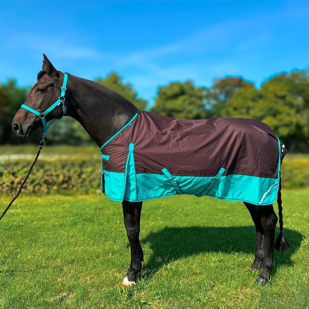 Nová výběhová nepromokavá deka 50g