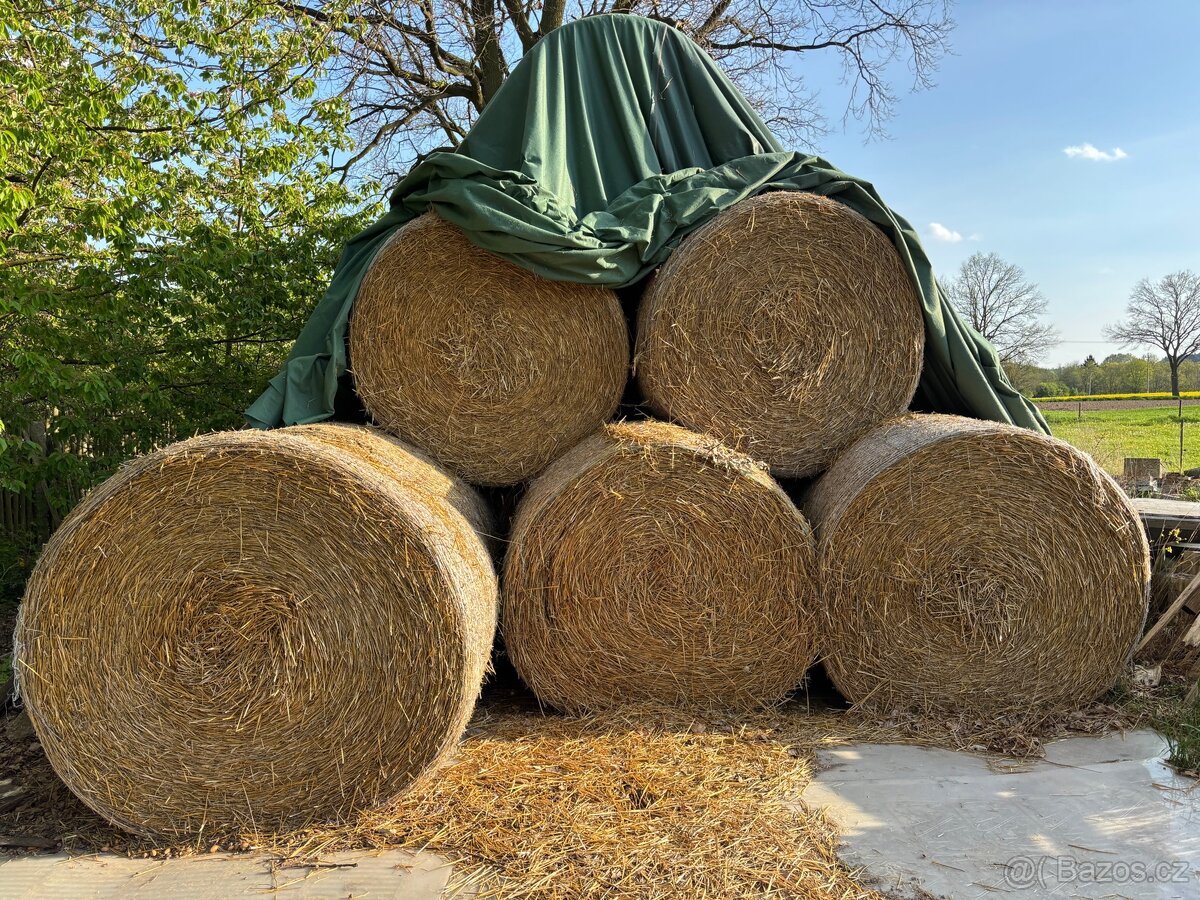 Sláma