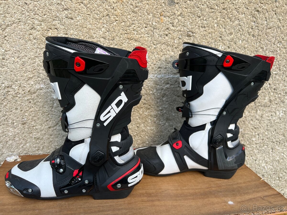 Sidi Rex