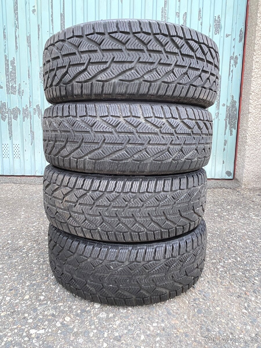 Zimní pneu Riken 205/50r17
