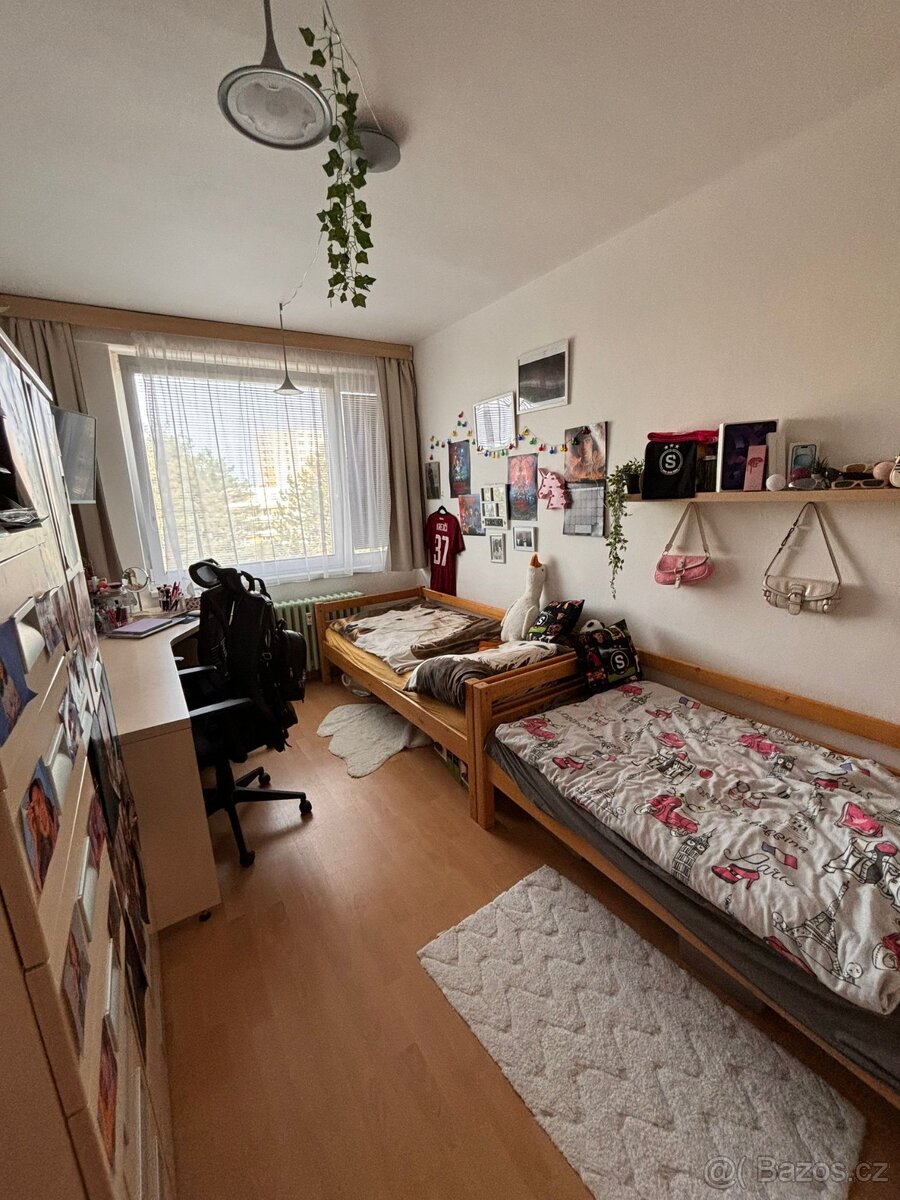 Palanda masiv Domestav