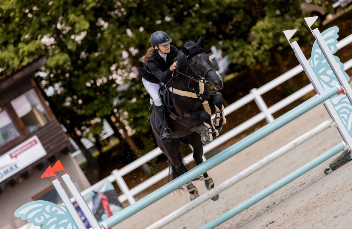 POLOVIČNÍ PRONÁJEM KONĚ