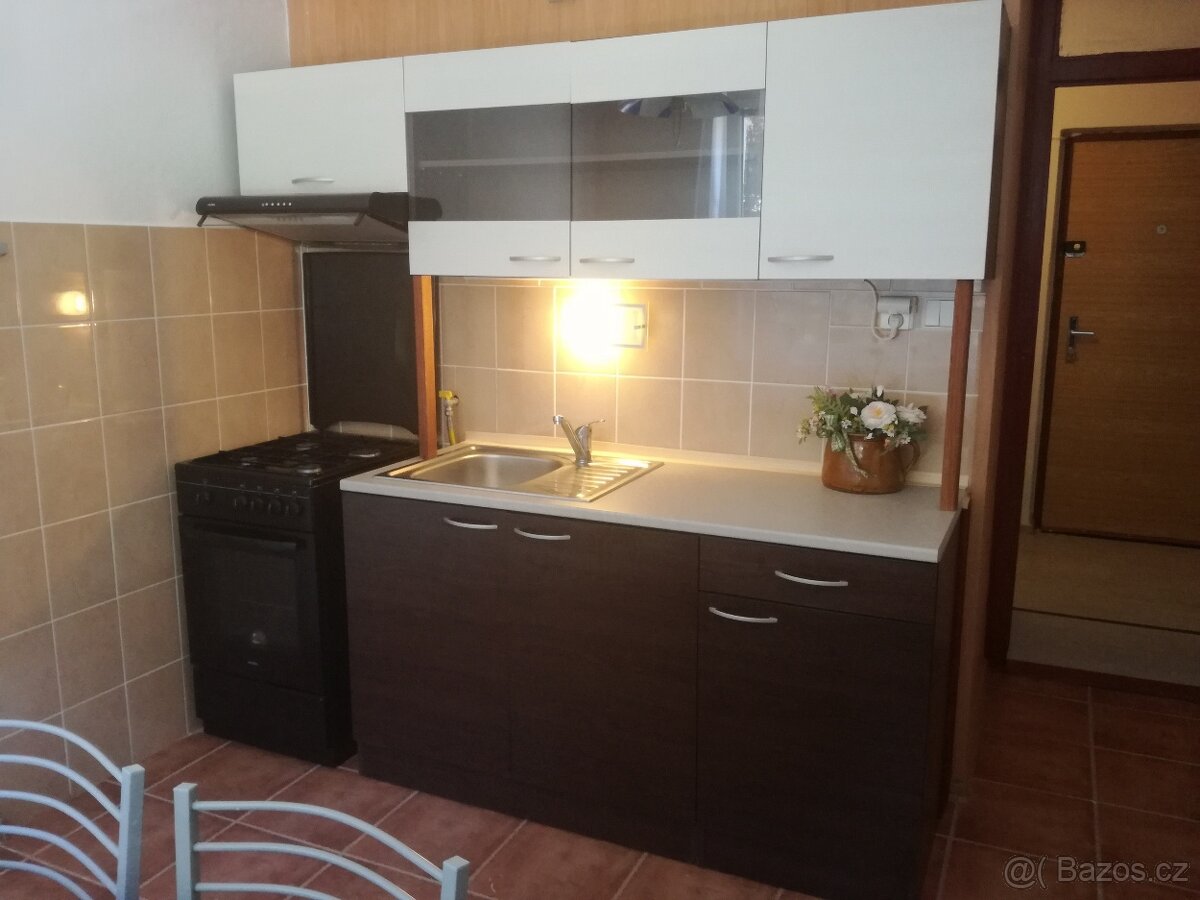 Pronajmu byt 1+1 v Kraslicích,40m2.
