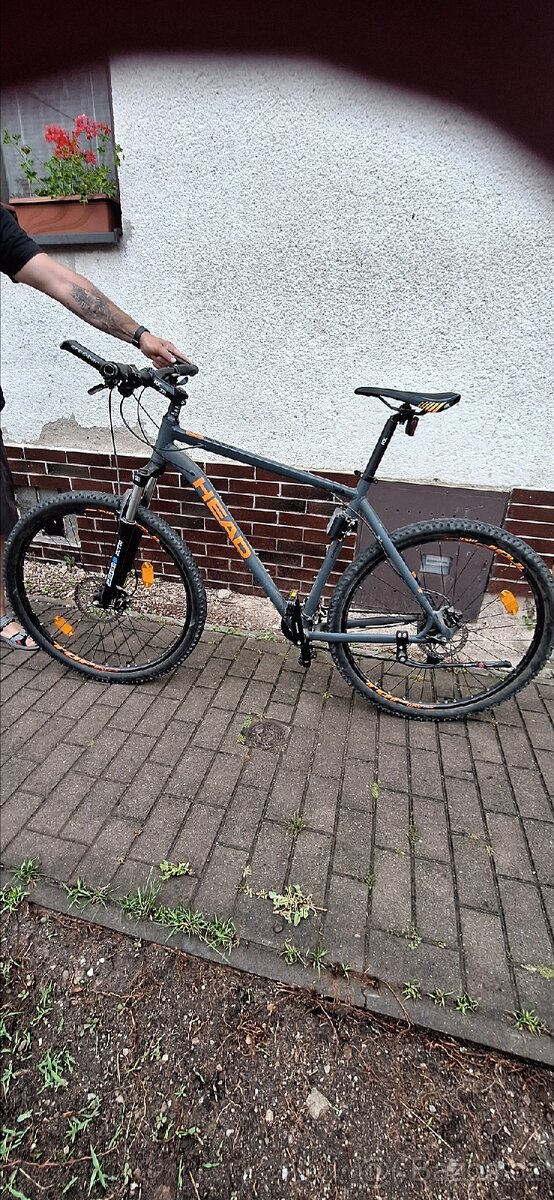 Horské kolo 29'' rám XL Head allterain