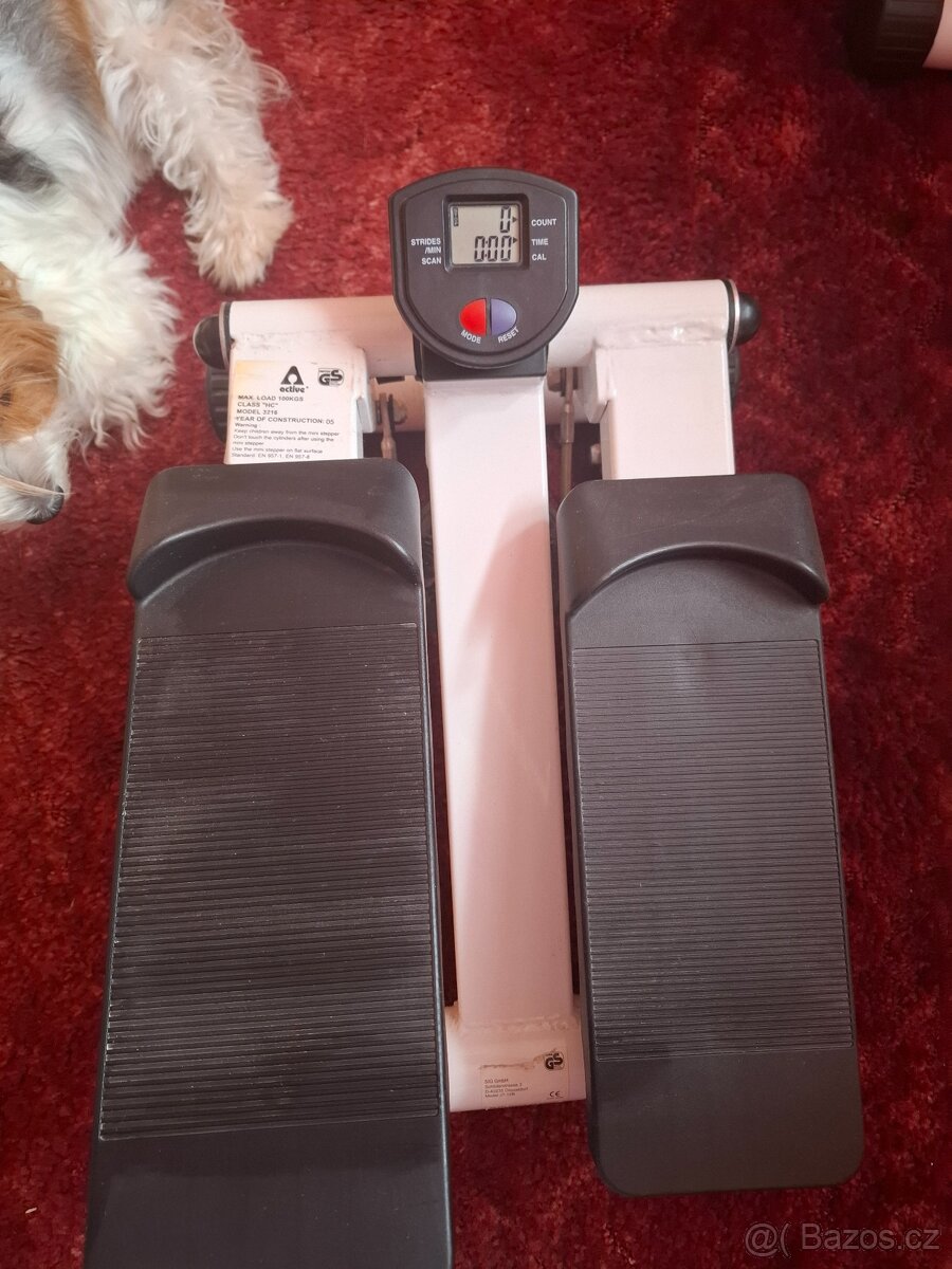 Mini stepper