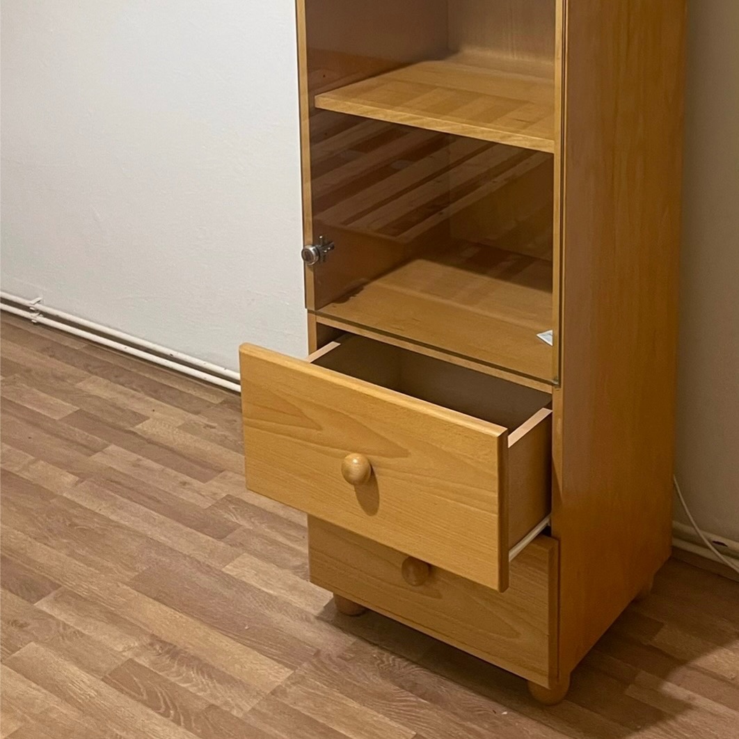 Moderní prosklená skříň dekor BUK