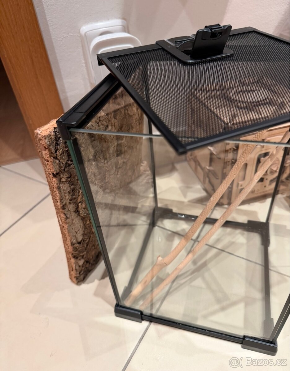 Terarium Repti Planet 20x20x30