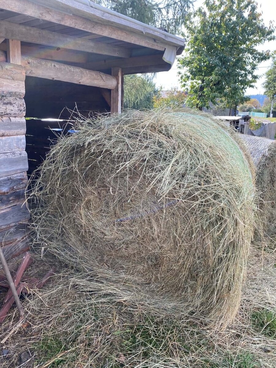 Seno kulaté balíky
