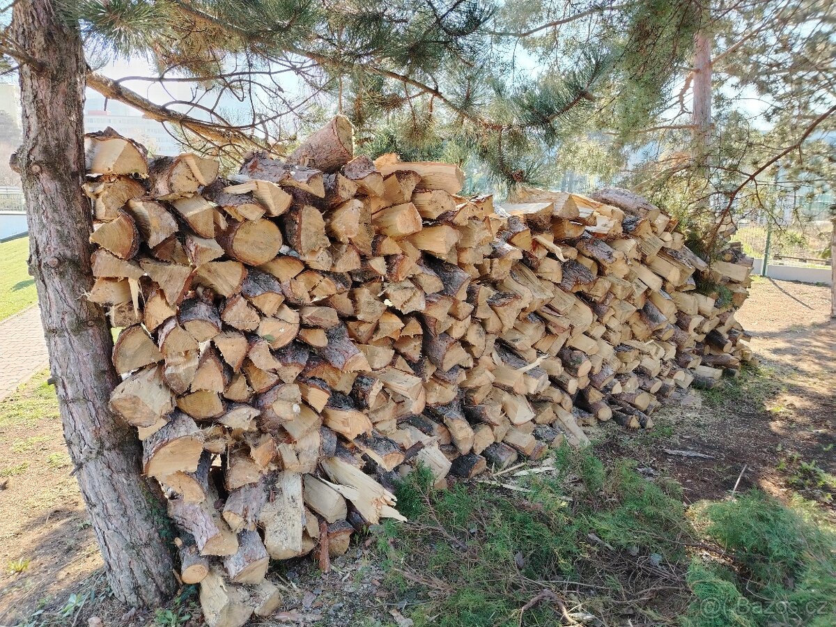 Dřevo, borovice