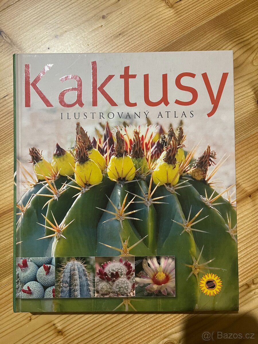 Kaktusy,nová kniha, nakladatelství Sun