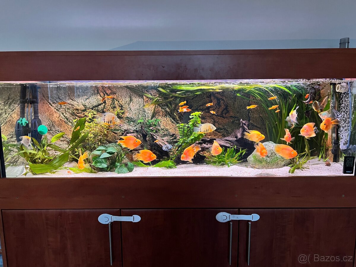 Akvarium