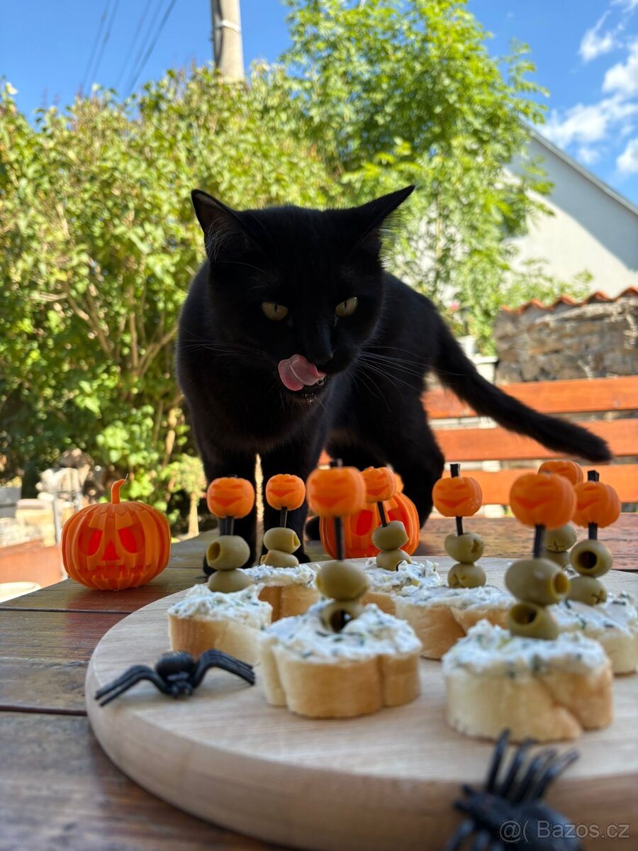 🎃 Halloweenské 3D dekorace