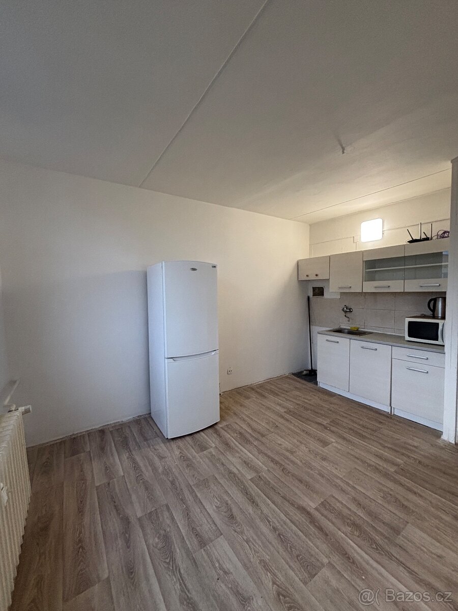 1+KK 19,3 m2 Kostnická