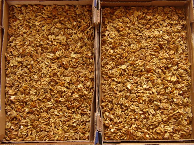 Prodám VLAŠSKÉ OŘECHY vyloupané