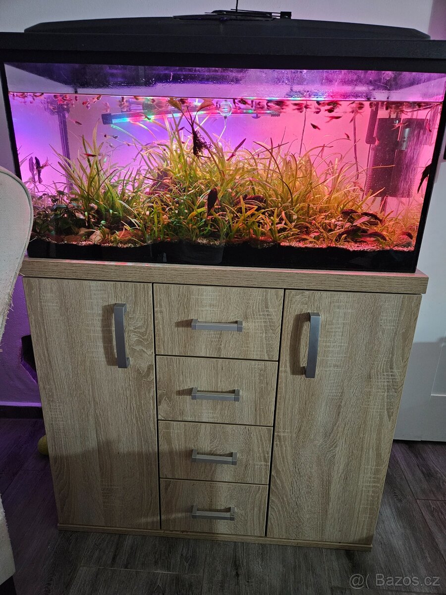 Akvárium s vybavením