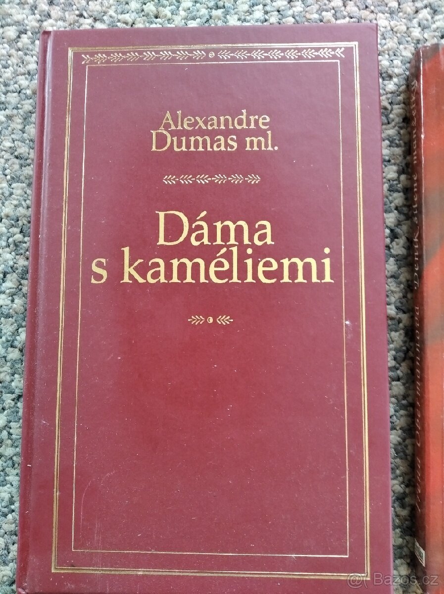 Dáma s kaméliemi