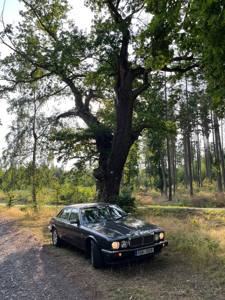 Jaguar xj6