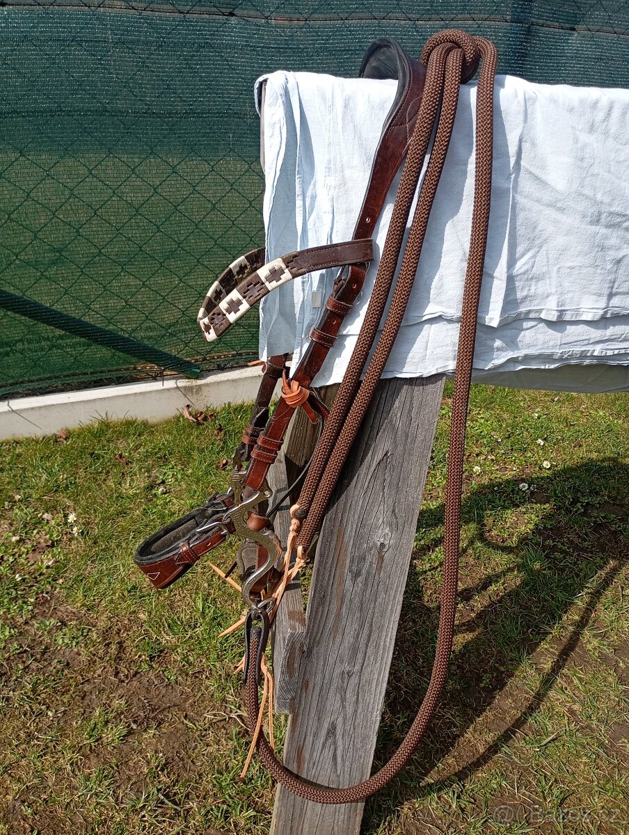 Hackamore drak,uzdečka,oteze