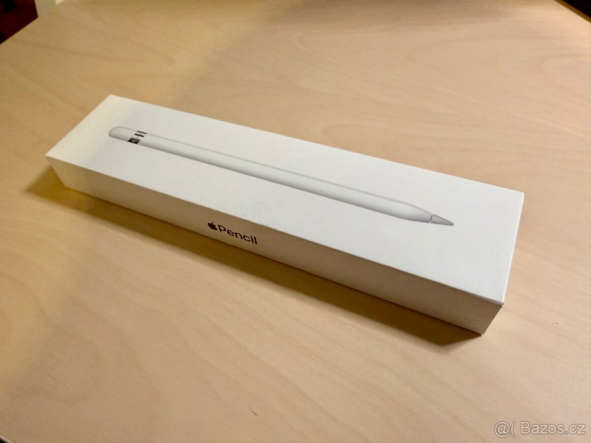 Apple Pencil 1 pro iPad 10th gen