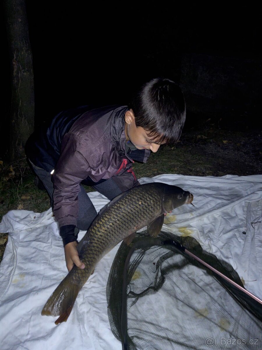 Boilies - Bestseller Evropských rybníků, poradím jak chytat