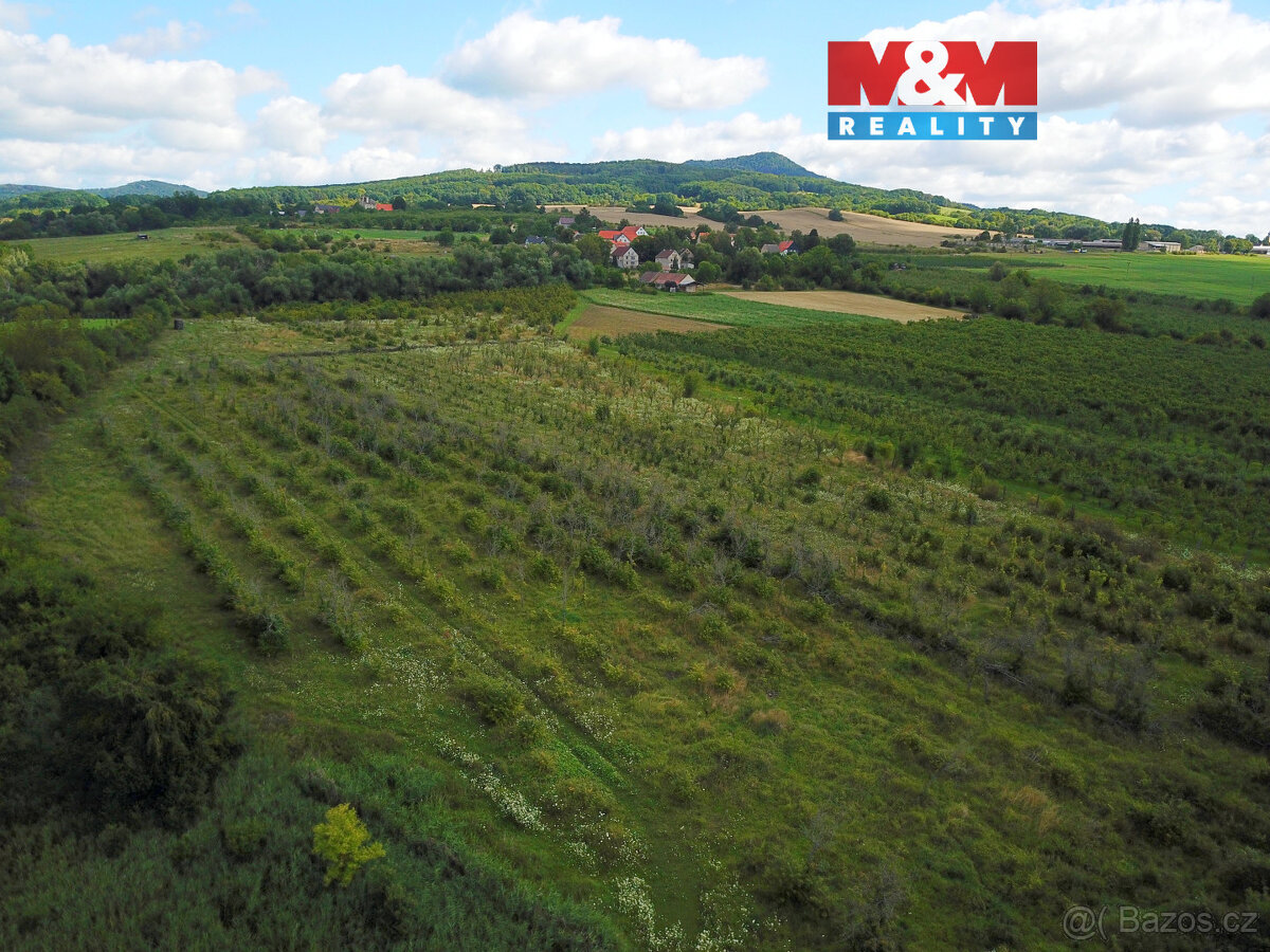 Prodej ovocného sadu, 25918 m², Dolní Nezly u Litoměřic