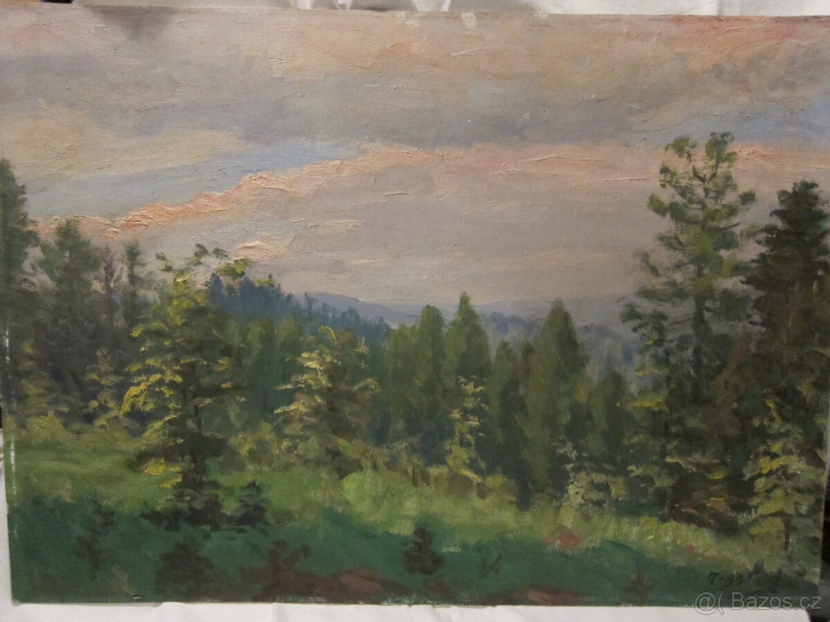 obraz krajina - olej na kartonu, signováno Volkov