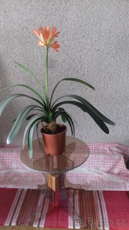 květinový stolek