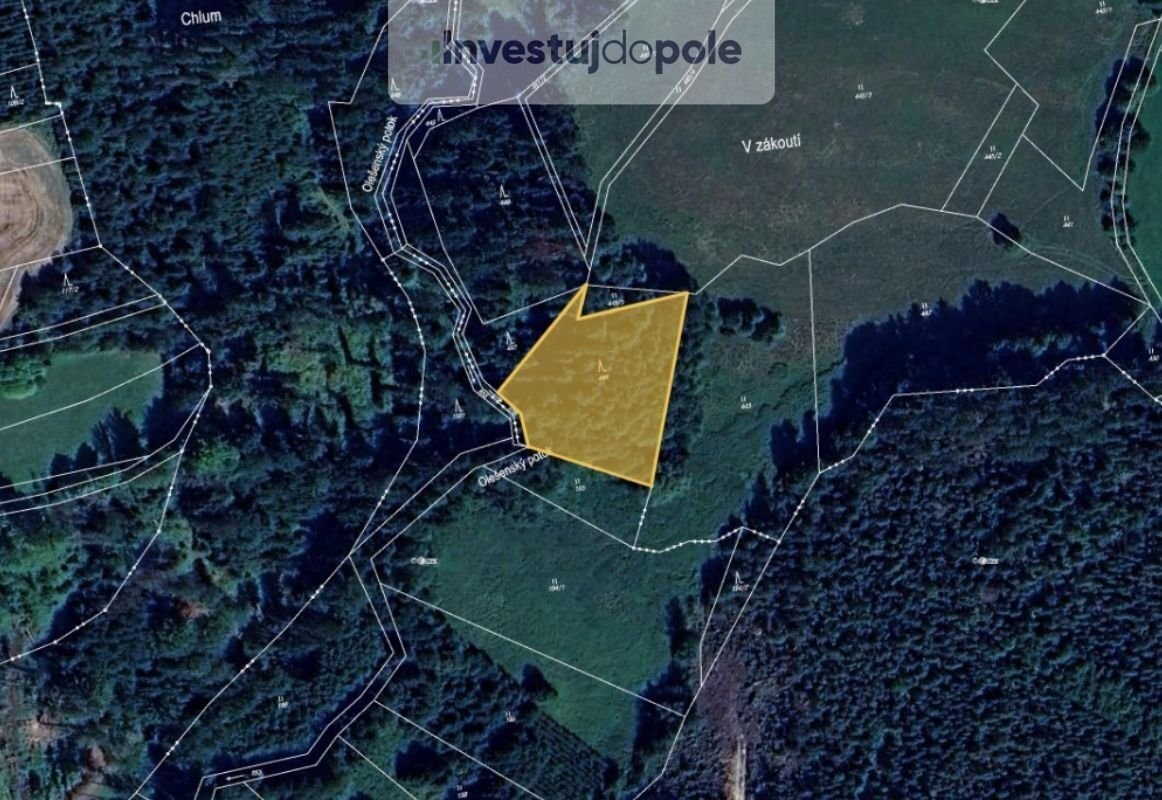 Prodej lesa 4 042 m², Prosíčka - Dolní Prosíčka