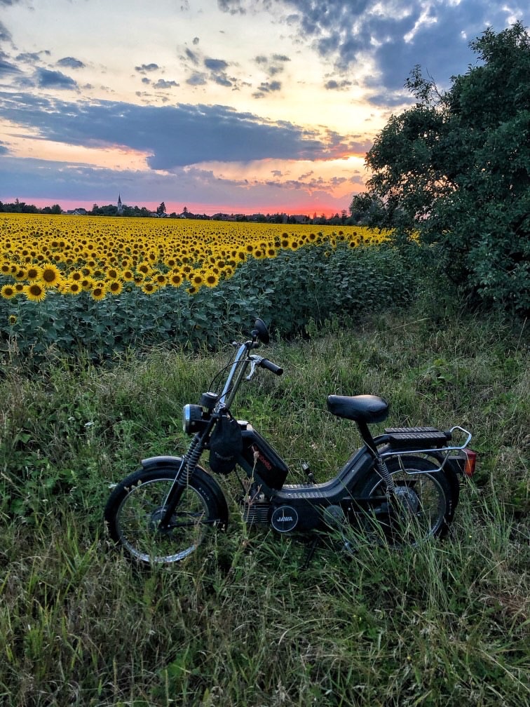 Babetta 210