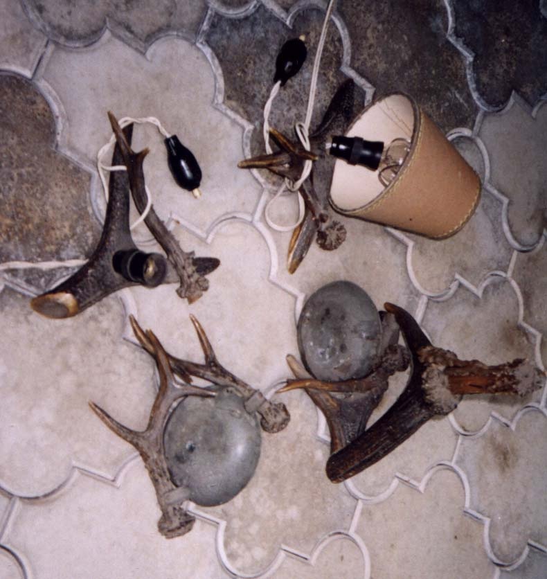 předměty z paroží, 7 kusů