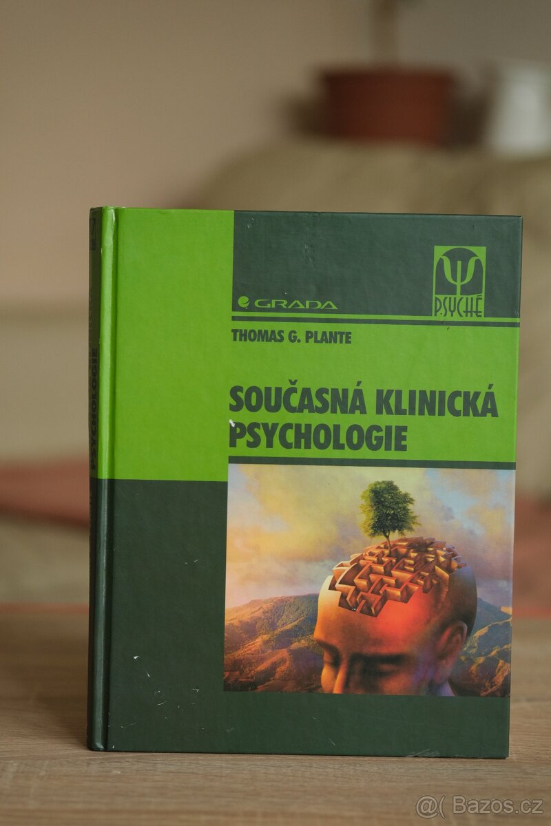 Současná klinická psychologie - Thomas Plante