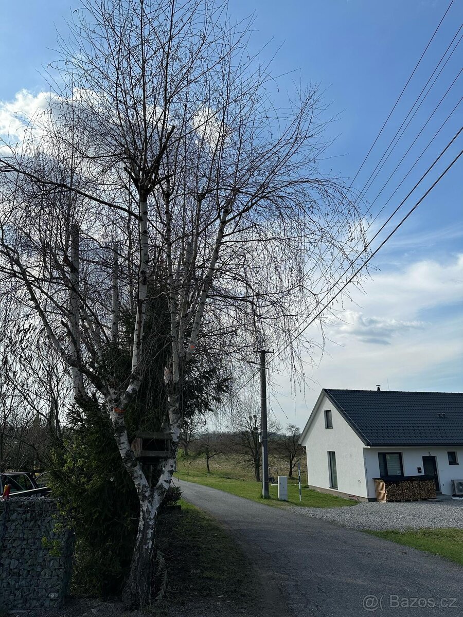 Údržba zahrady